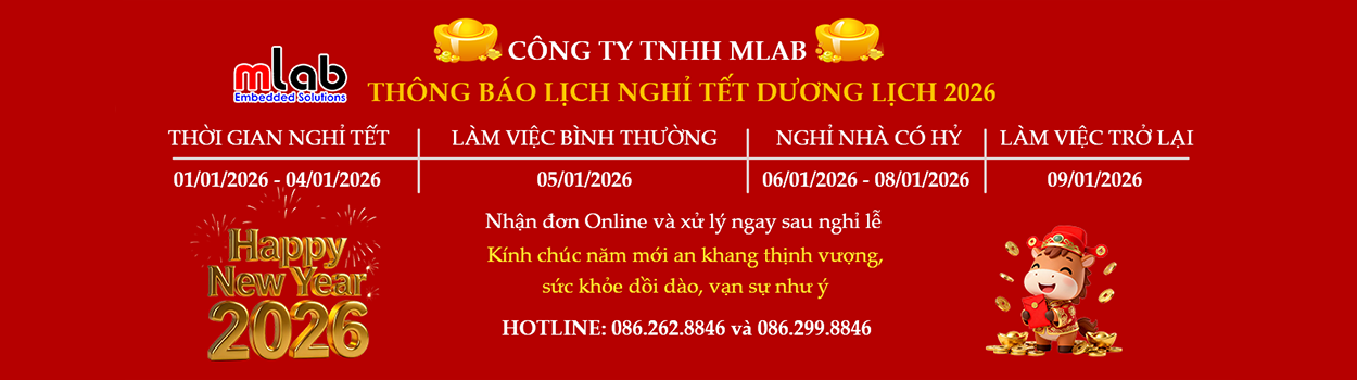 TET DUONG LICH