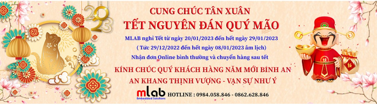 Tet Nguyen Dan 2023