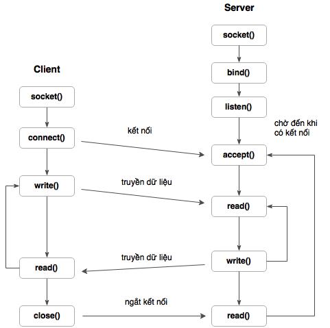 Bài 5 : Lập trình giao tiếp mạng TCP/IP Raspberry Pi phần 1